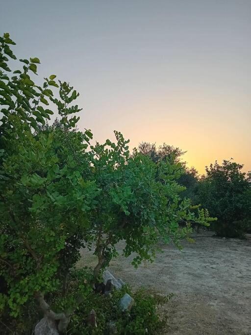 Sofia'S Summer House Koroni  Exterior photo