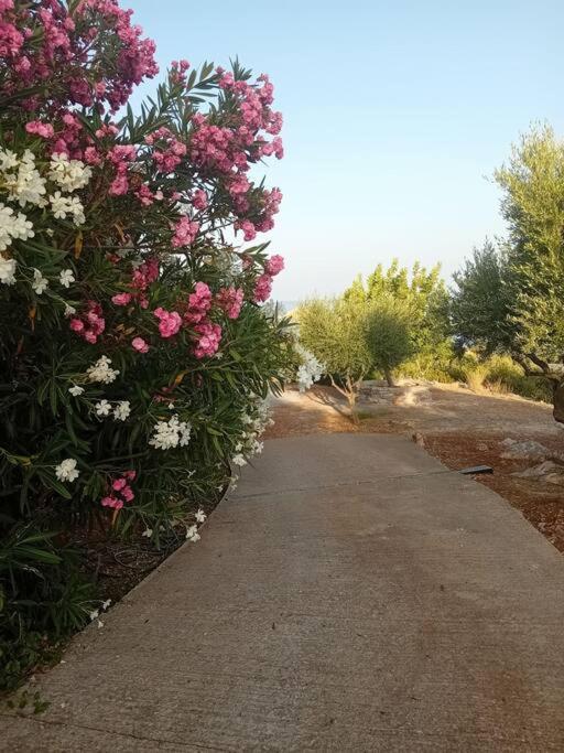 Sofia'S Summer House Koroni  Exterior photo